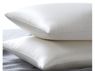 Silk Camel luxury / ultimate Silk Pillow (thin version)